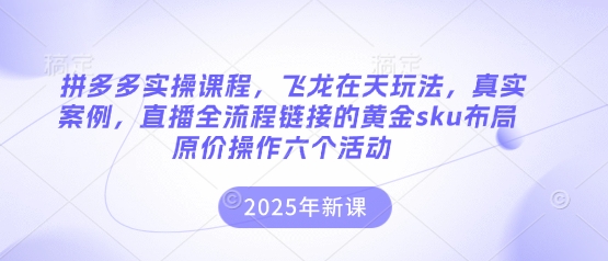 拼多多实操课程，飞龙在天玩法，真实案例，直播全流程链接的黄金sku布局原价操作六个活动-轻创终点站