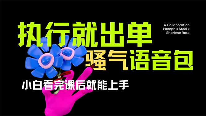（14170期）爆火全网的开车导航骚气语音包,只要执行就出单，小白看完课程就能实操…-轻创终点站